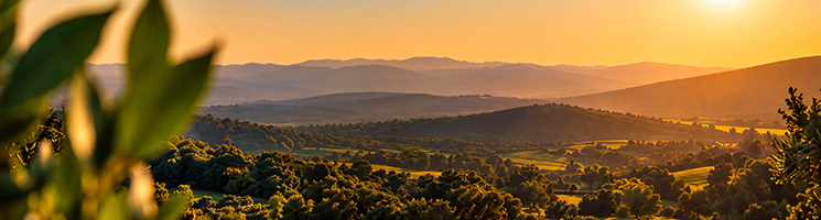 Turkish Countryside Landscape